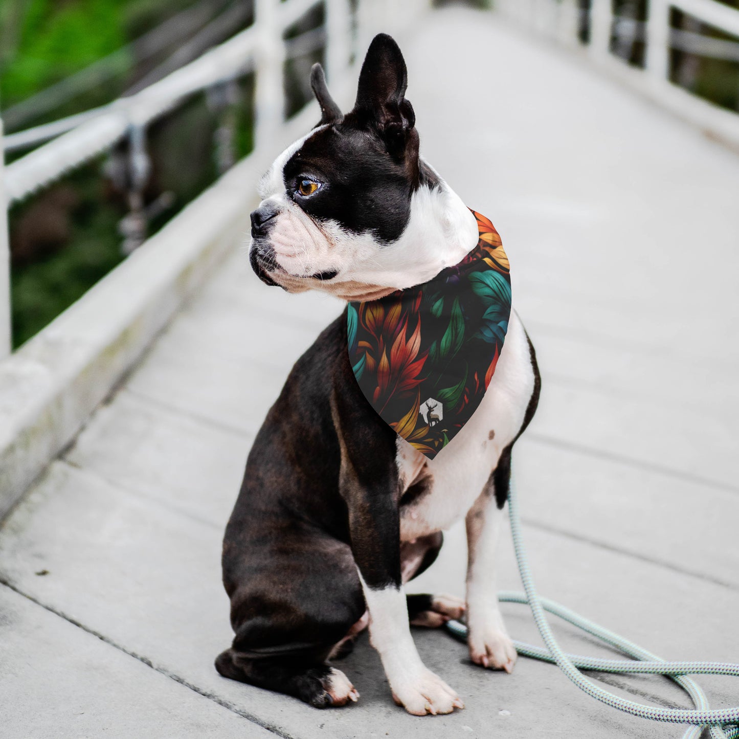 Stylish, Colorful, And Durable Pet Bandana